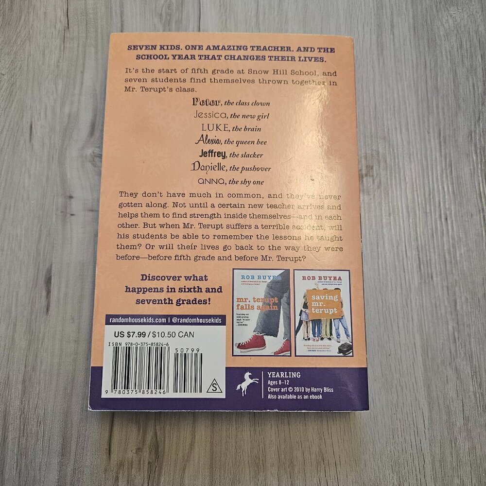 Because of Mr. Terupt (Mr. Terupt Series #1) Paperback Book - by Rob Buyea - Picture 2 of 4